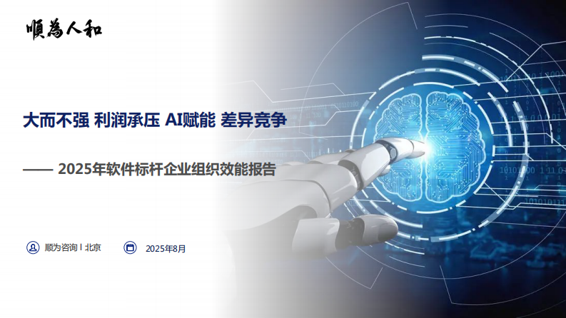 2025年软件标杆企业组织效能报告 第1页