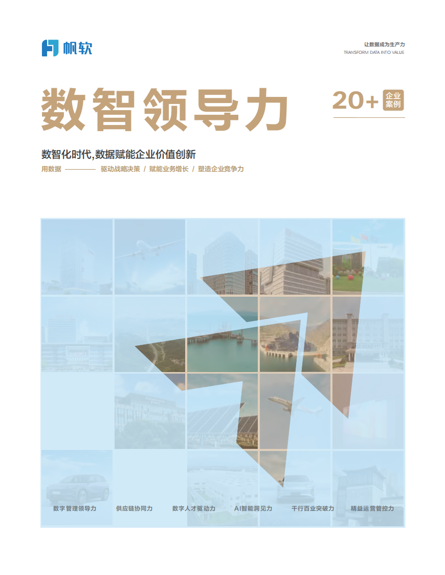 2025年数智领导力案例集 第1页