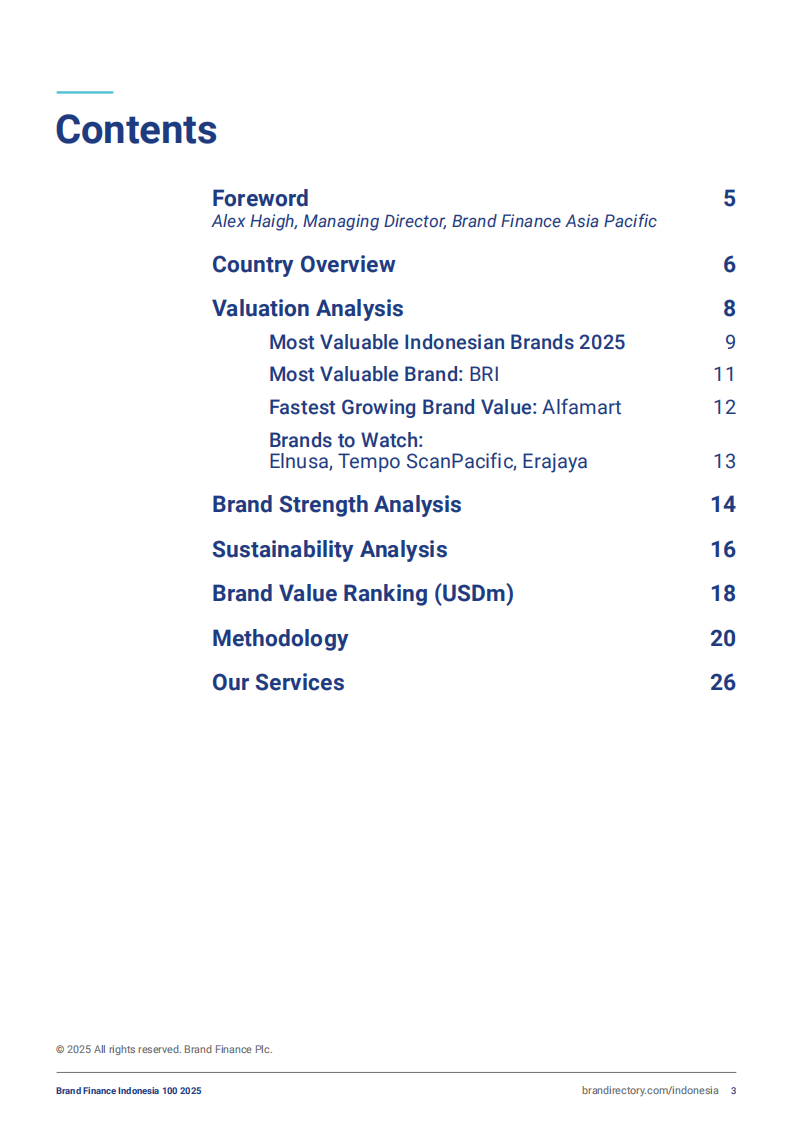 2025年印度尼西亚品牌100强（英文） 第3页