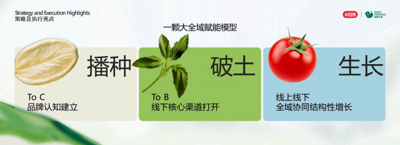 生鲜品牌一颗&ldquo;小时候的番茄&rdquo;在小红书种出10亿生意 第5页