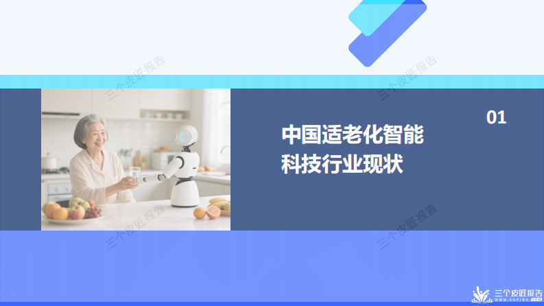 中国适老化智能科技行业洞察报告 第3页