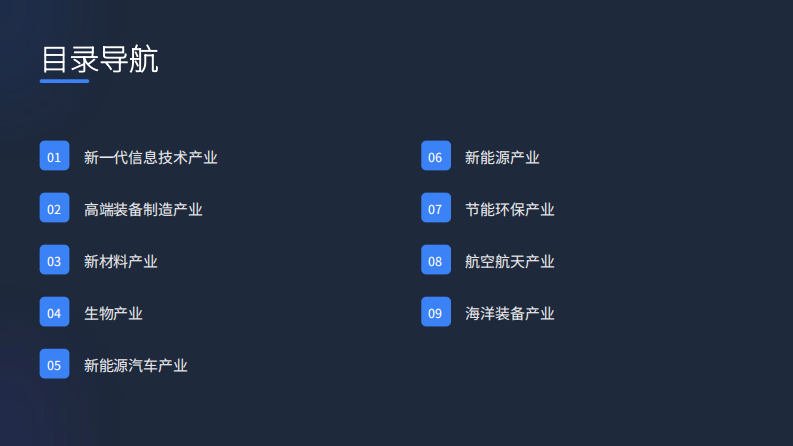 中国战略性新兴产业发展全景（2025） 第2页