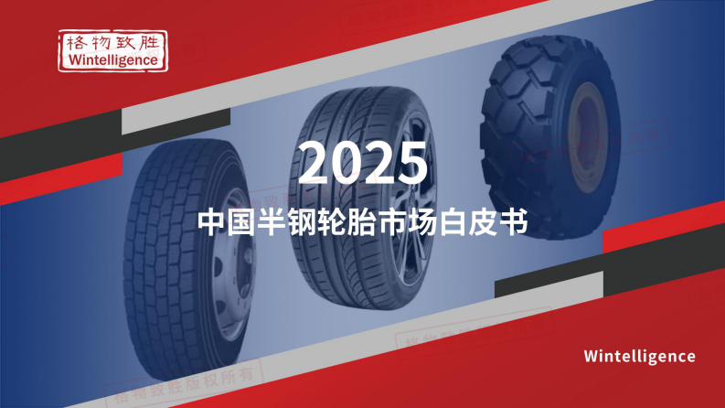 2025中国半钢轮胎市场白皮书 第1页