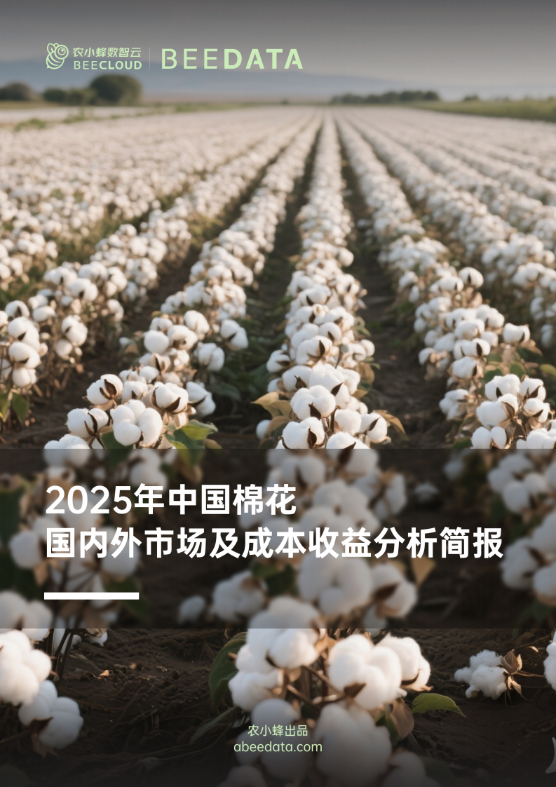 2025年中国棉花国内外市场及成本收益分析简报 第1页