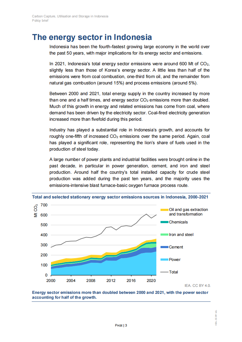 印度尼西亚的碳捕获、利用和封存（英文） 第4页