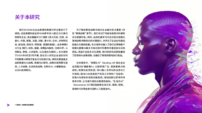 一马当先：AI 规模化应用指南：行业领跑者的经验分享 第3页