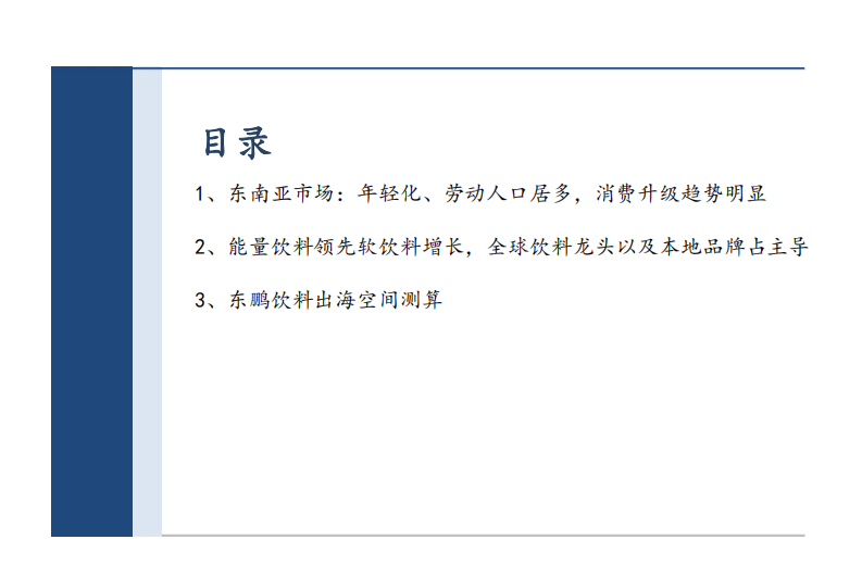 2025东南亚能量饮料市场空间、竞争格局及东鹏饮料出海市场机遇分析报告 第2页