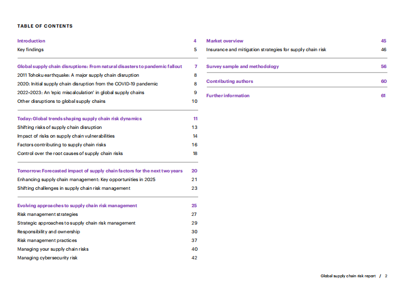 2025年全球供应链风险报告（英文） 第2页