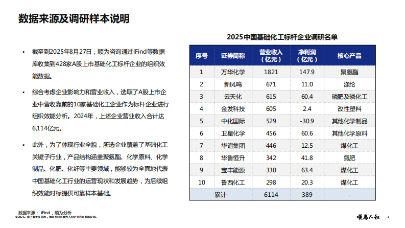 2025年基础化工标杆企业组织效能报告 第3页