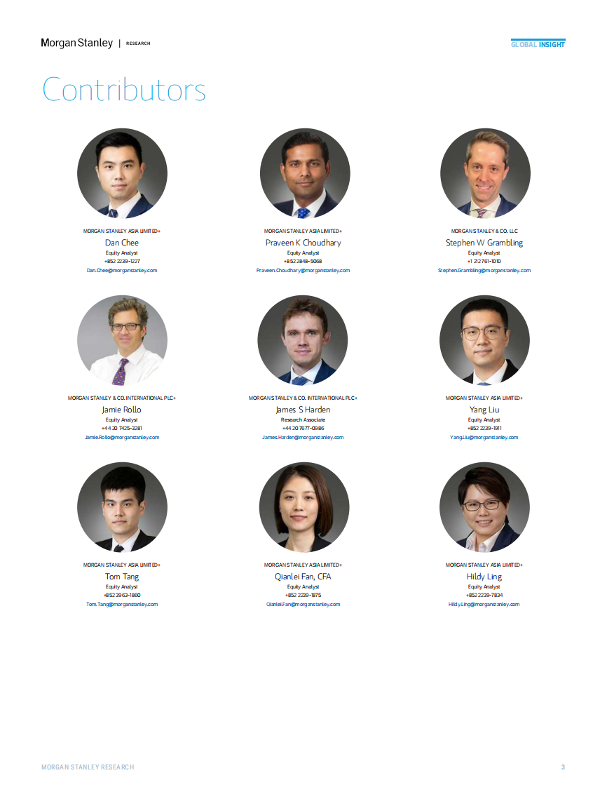 中国新兴前沿：入境游&mdash;&mdash;输出款待；输入全球品牌（英文） 第3页