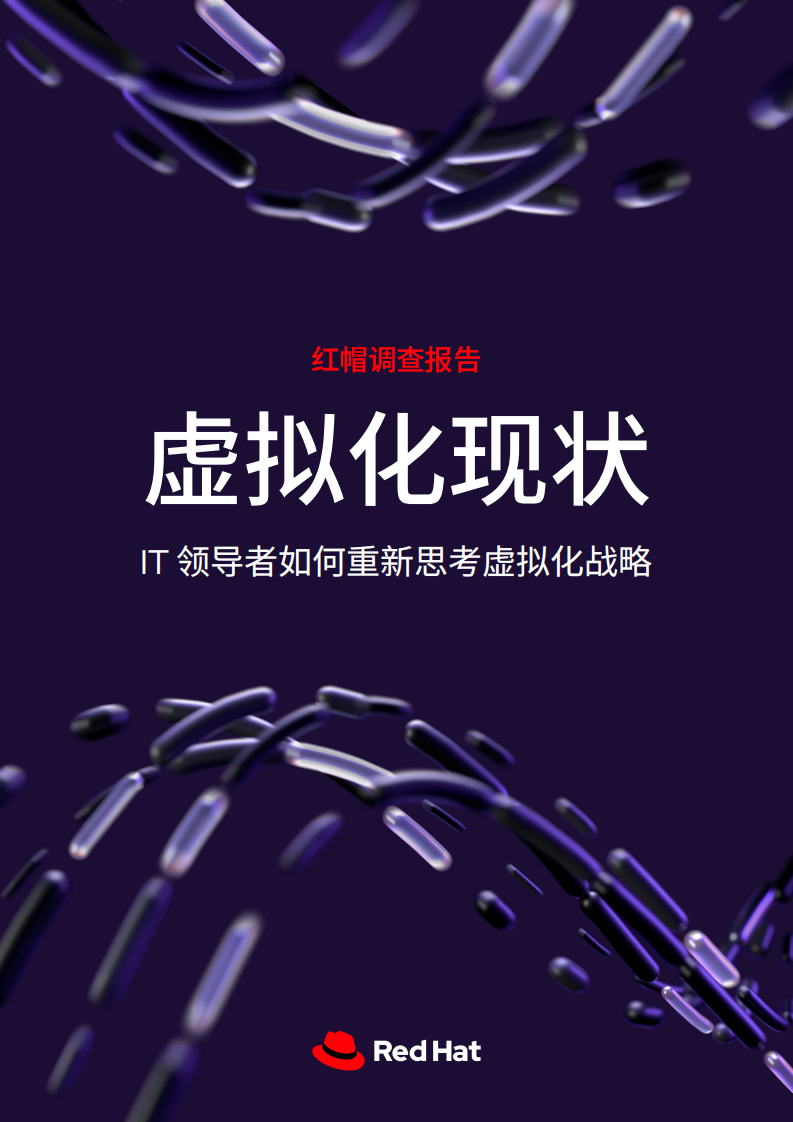 2025年虚拟化现状调查报告 第1页