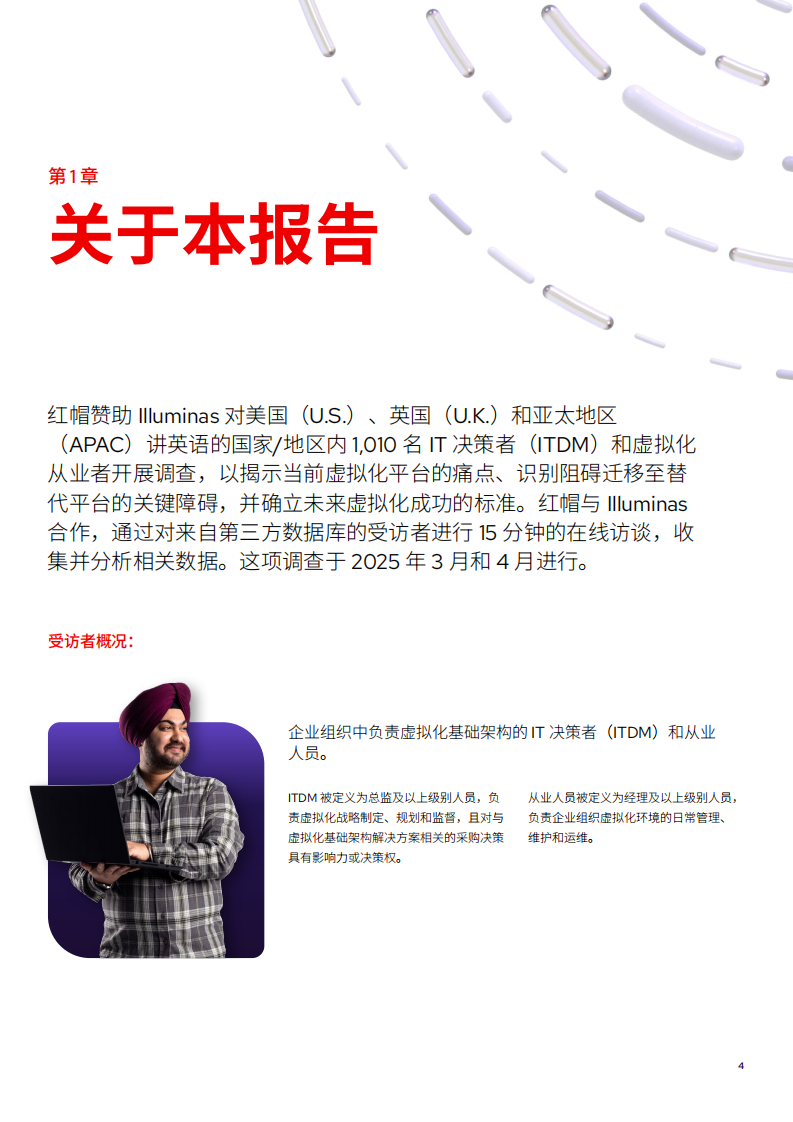 2025年虚拟化现状调查报告 第4页