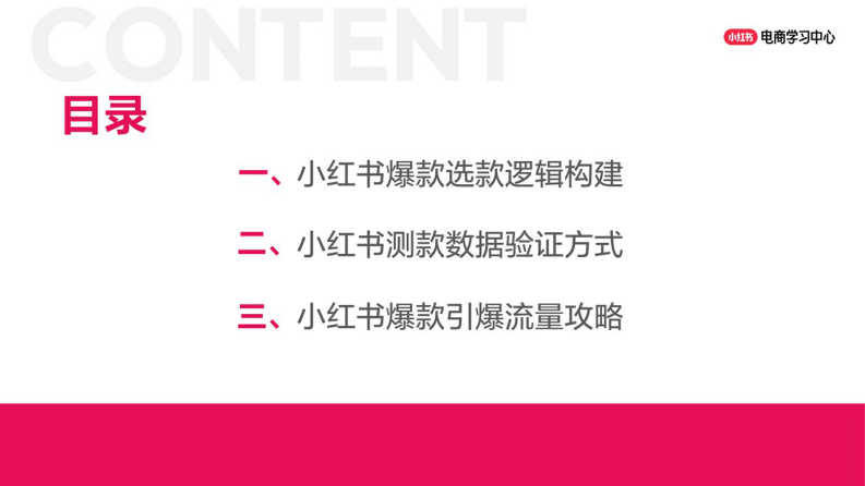小红书爆款选品测品引爆全战术指导 第2页
