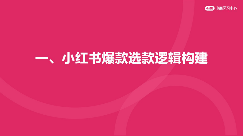 小红书爆款选品测品引爆全战术指导 第3页