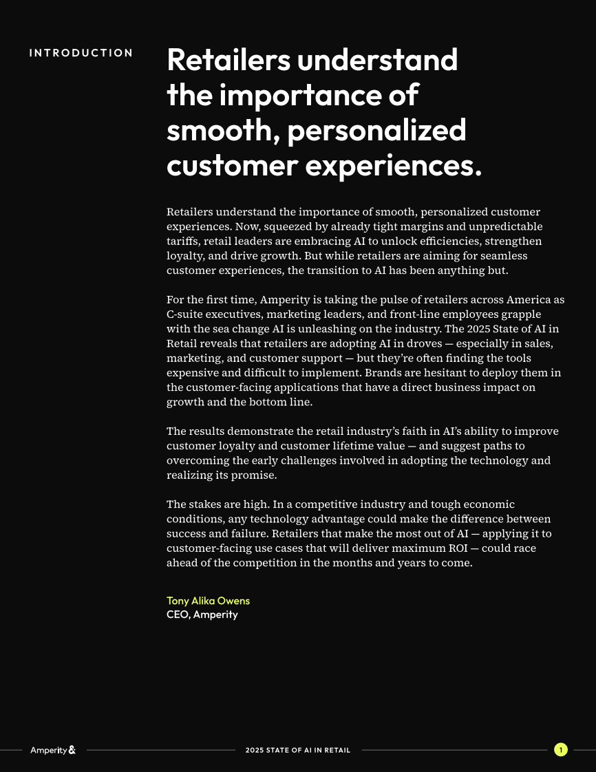 2025年零售业AI现状报告（英文） 第2页