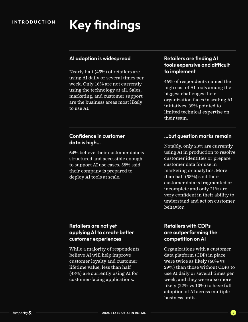2025年零售业AI现状报告（英文） 第3页