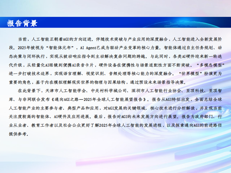 通向AGI之路：2025全球人工智能展望报告 第2页