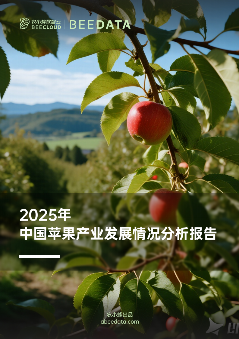 2025年中国苹果产业发展情况分析报告 第1页