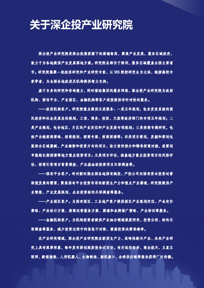 县域十五五规划发展研究报告 第2页