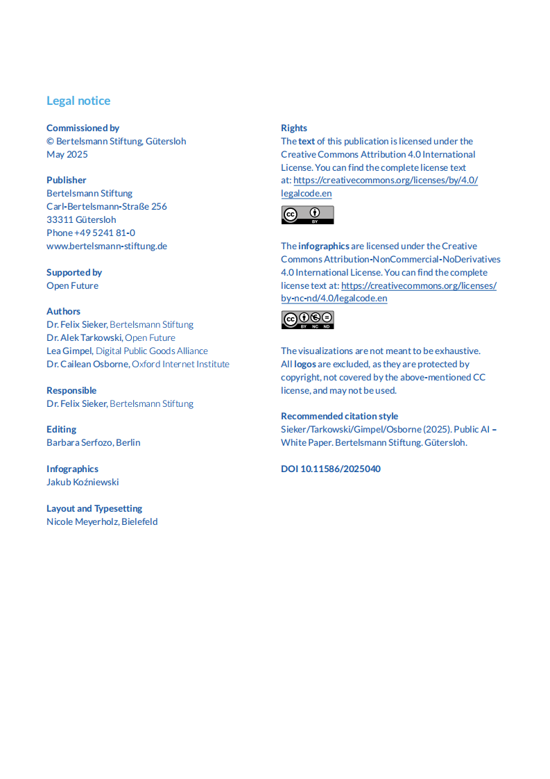 2025公共人工智能（Public AI）白皮书（英文） 第2页