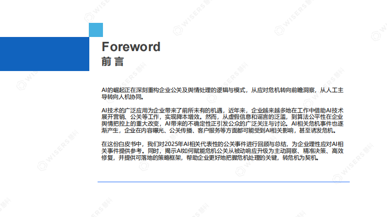 2025年AI时代公关白皮书 第2页