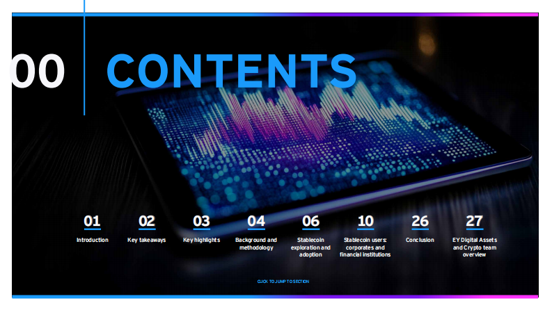 2025稳定币聚焦：驾驭新数字金融格局研究报告（英文） 第2页