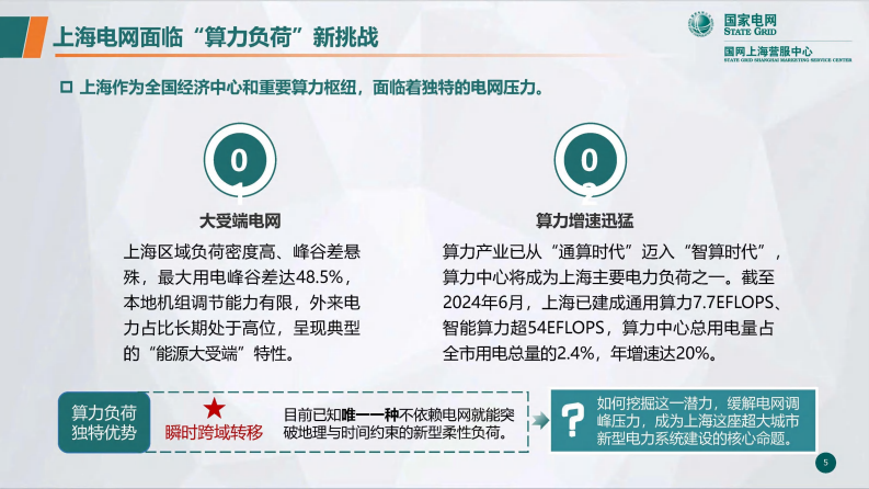 2025年构建多时空尺度电算协同新范式-上海虚拟电厂的创新路径与成效报告 第5页