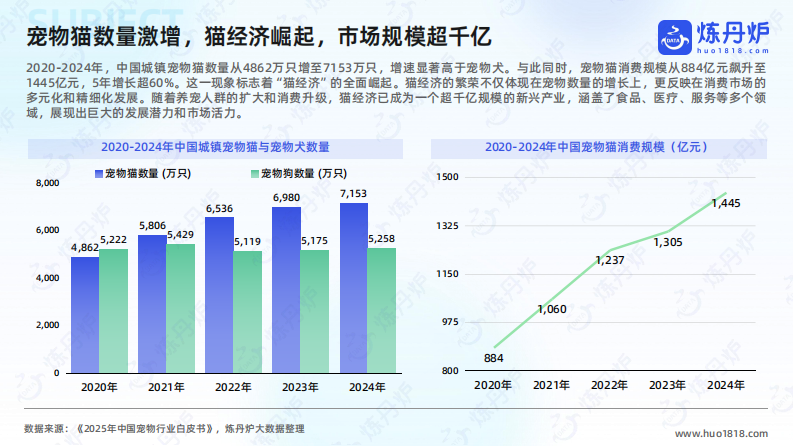 2025年&ldquo;猫经济&rdquo;消费趋势洞察 第5页