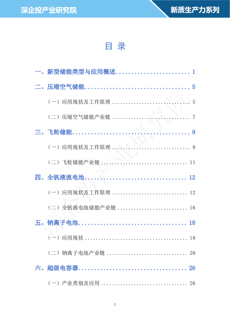 2024新型储能行业研究报告 第2页
