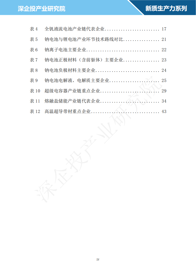 2024新型储能行业研究报告 第5页