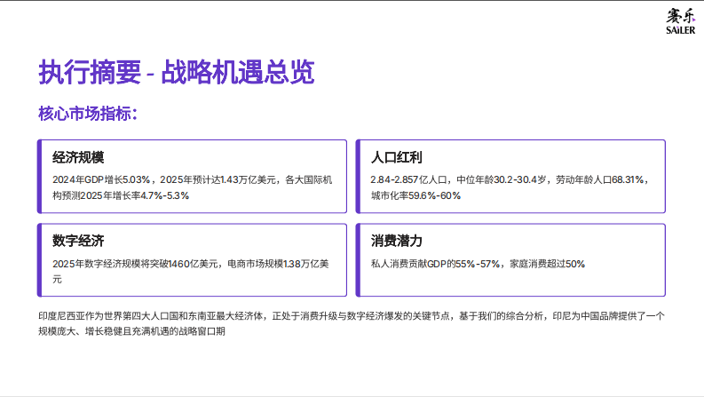 2025年印尼消费市场全景洞察报告 第3页