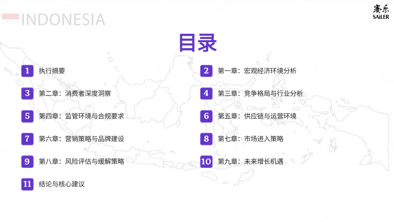 2025年印尼消费市场全景洞察报告 第2页