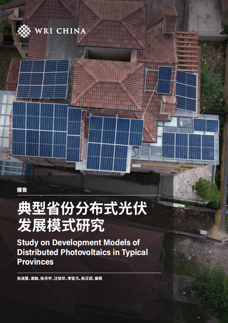 2025年典型省份分布式光伏发展模式研究报告 第1页
