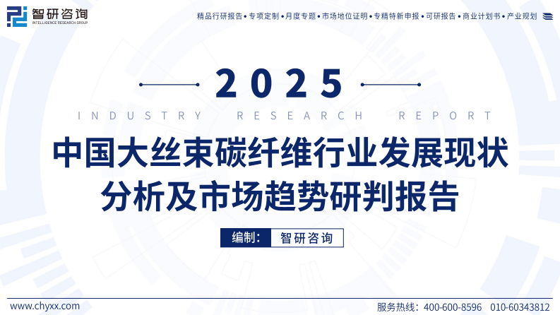 2025年中国大丝束碳纤维行业发展现状分析及市场趋势研判报告 第1页