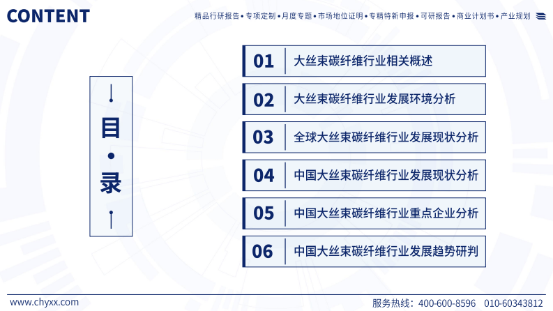 2025年中国大丝束碳纤维行业发展现状分析及市场趋势研判报告 第2页