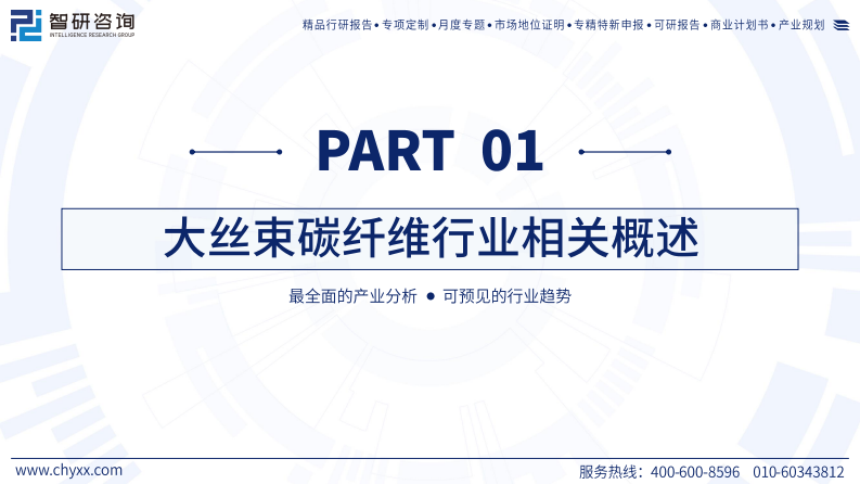 2025年中国大丝束碳纤维行业发展现状分析及市场趋势研判报告 第3页