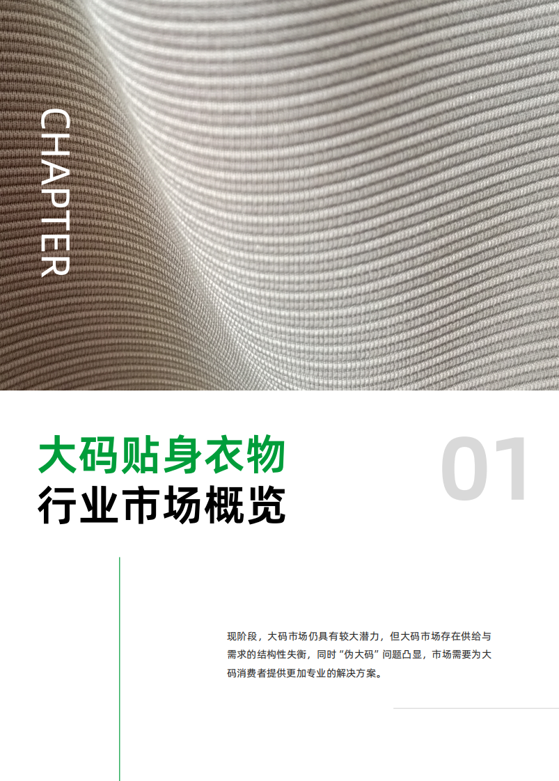 2025年大码贴身衣物趋势洞察白皮书 第3页
