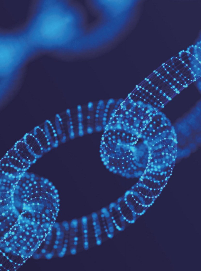 全球供应链发展趋势蓝皮书（2025） 第2页