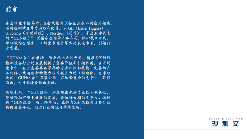 2025年全球工业X射线检测设备市场竞争概览报告-GUN为人先，引领行业 第2页