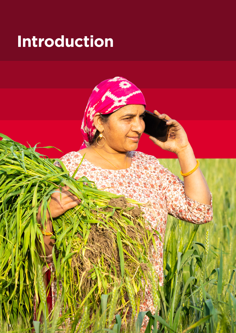 2025年移动性别差距报告（英文） 第4页