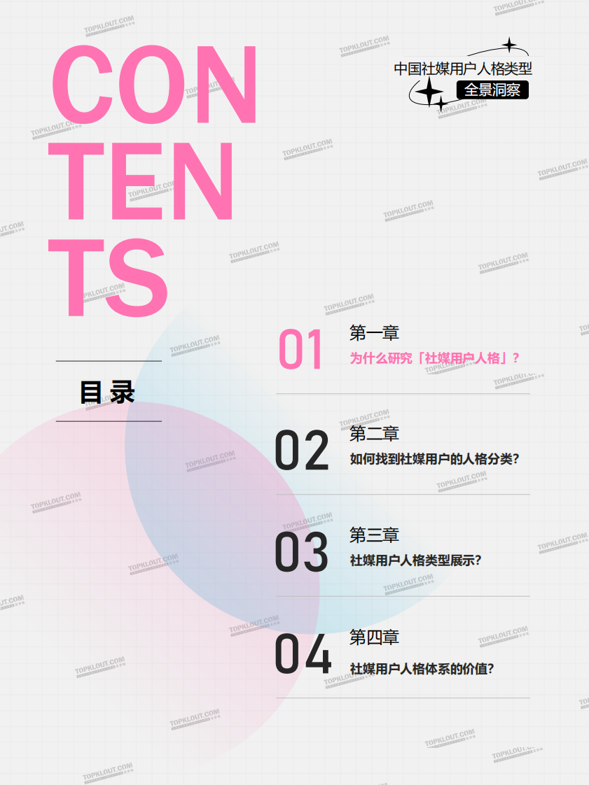 2025中国社媒用户人格类型全景洞察报告 第2页