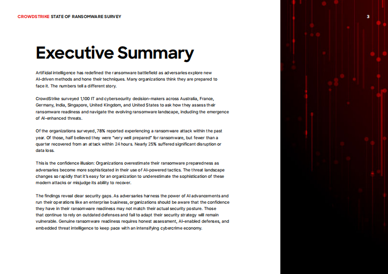 2025勒索软件状况调查报告（英文） 第3页