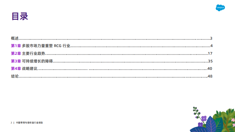 2025年中国零售与奢侈品行业报告 第2页