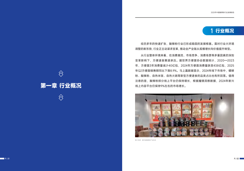 2025年中国酸辣粉行业发展报告 第4页