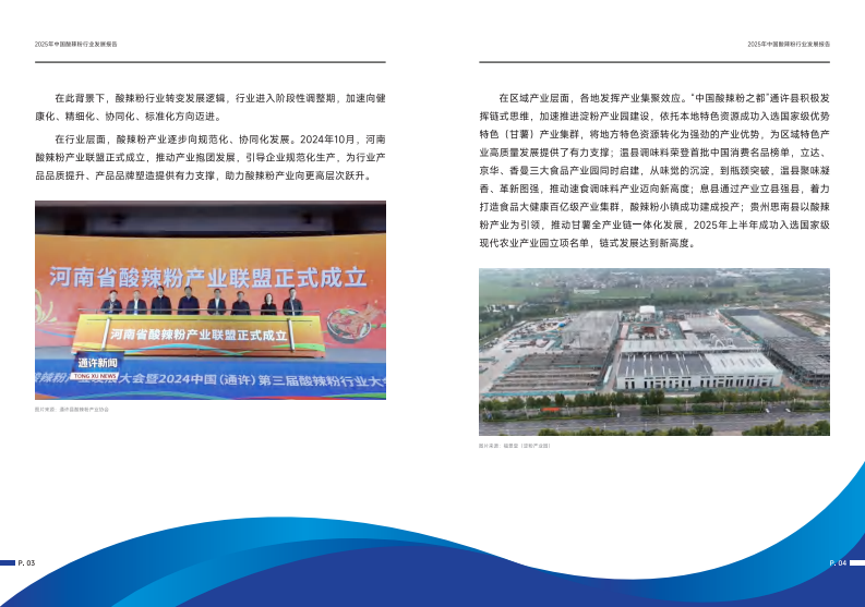 2025年中国酸辣粉行业发展报告 第5页