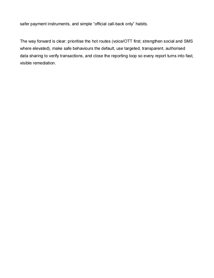 2025年东盟数字欺诈报告（英文） 第4页