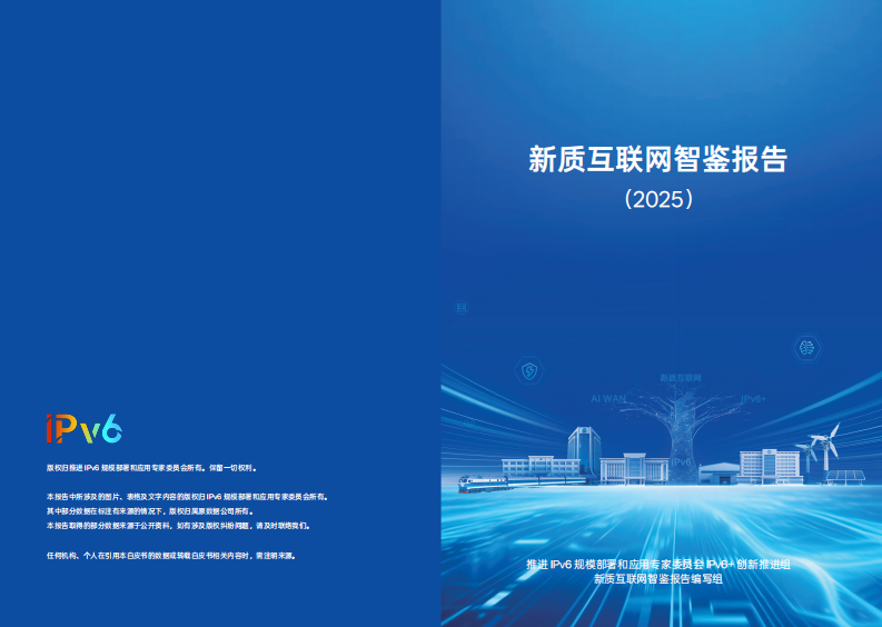 新质互联网智鉴报告（2025） 第1页