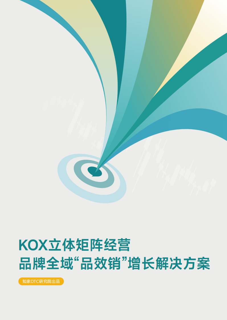 KOX立体矩阵经营：品牌全域&ldquo;品效销&rdquo;增长解 第1页