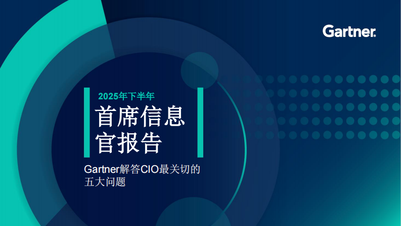 2025年下半年首席信息官报告 第1页