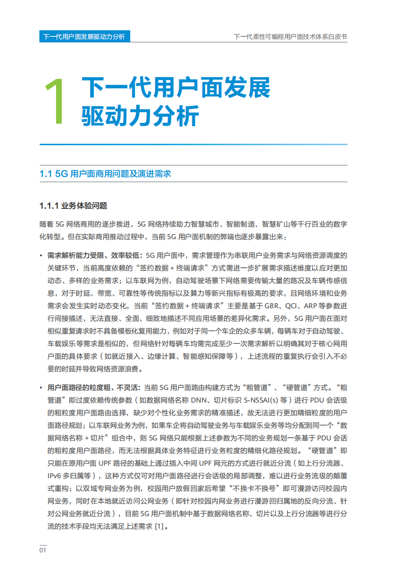 2025年下一代柔性可编程用户面技术体系白皮书 第4页
